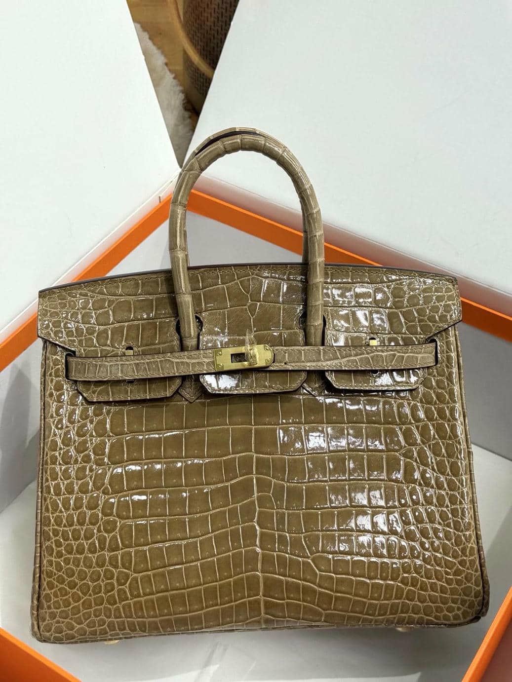 Birkin Exotic Leather-111